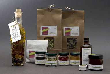 Gestalung & Illustration