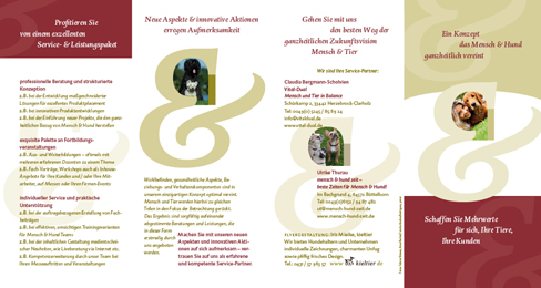 Gestalung & Illustration