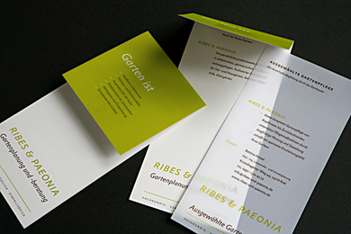 Gestalung & Illustration