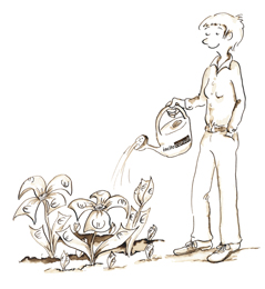 Gestalung & Illustration