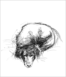 Gestalung & Illustration