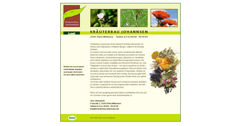 Gestalung & Illustration